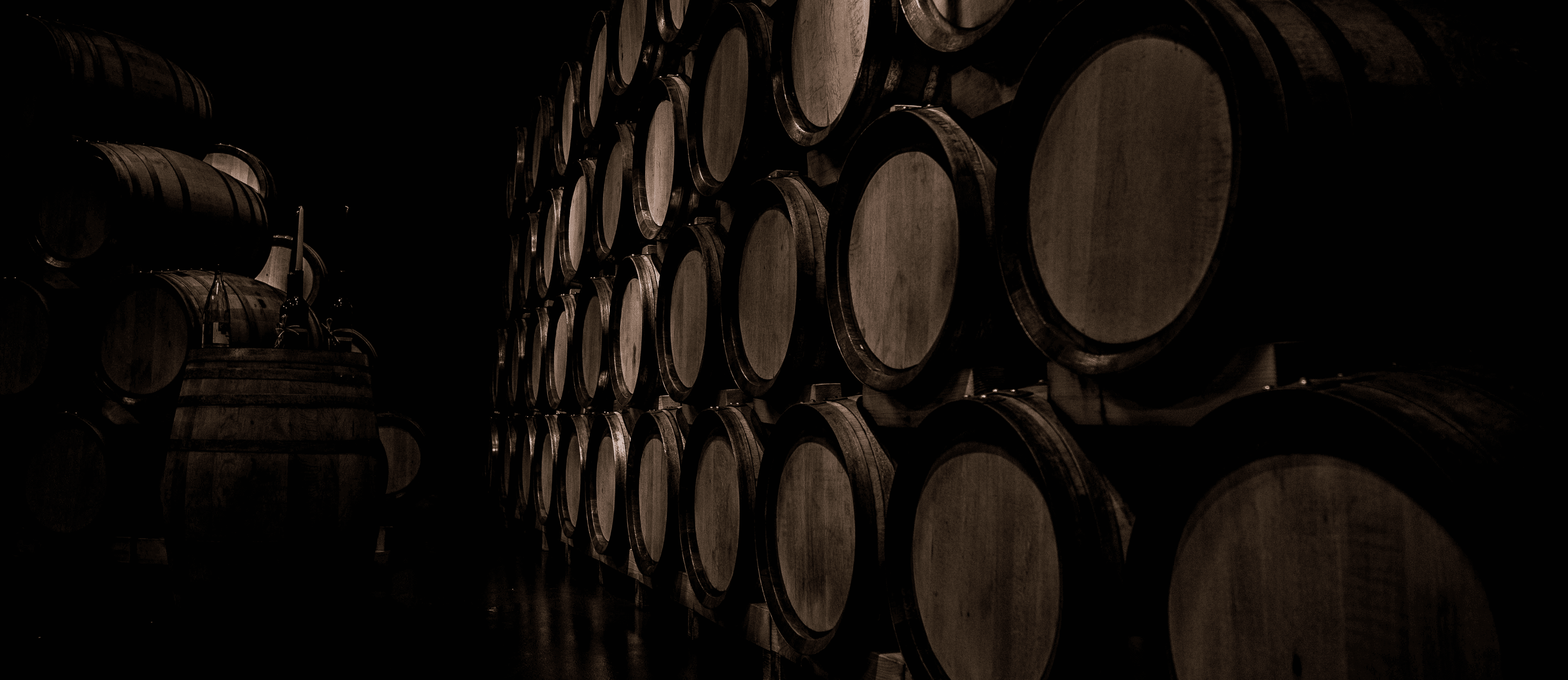 Barriles de vino en una bodega